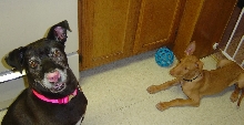 Sousa and Lucy