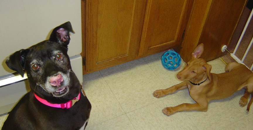 Sousa and Lucy
