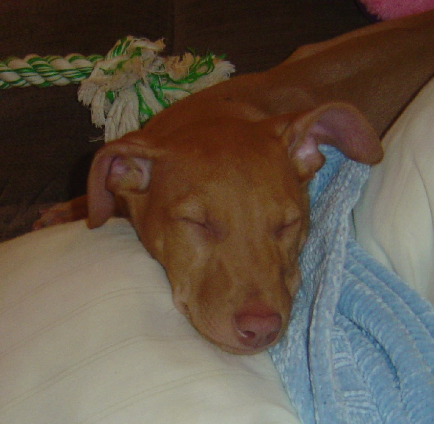 Sleeping