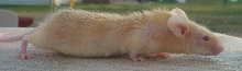 Schubert Outside 3