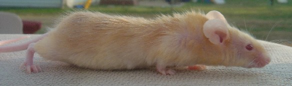Schubert Outside 3