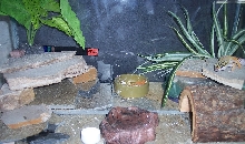 sideviewviv