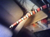 Honduran Milk Snake