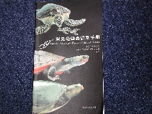 Turtle Tortoise book