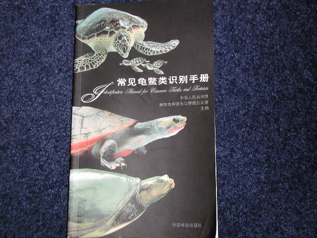 Turtle Tortoise book