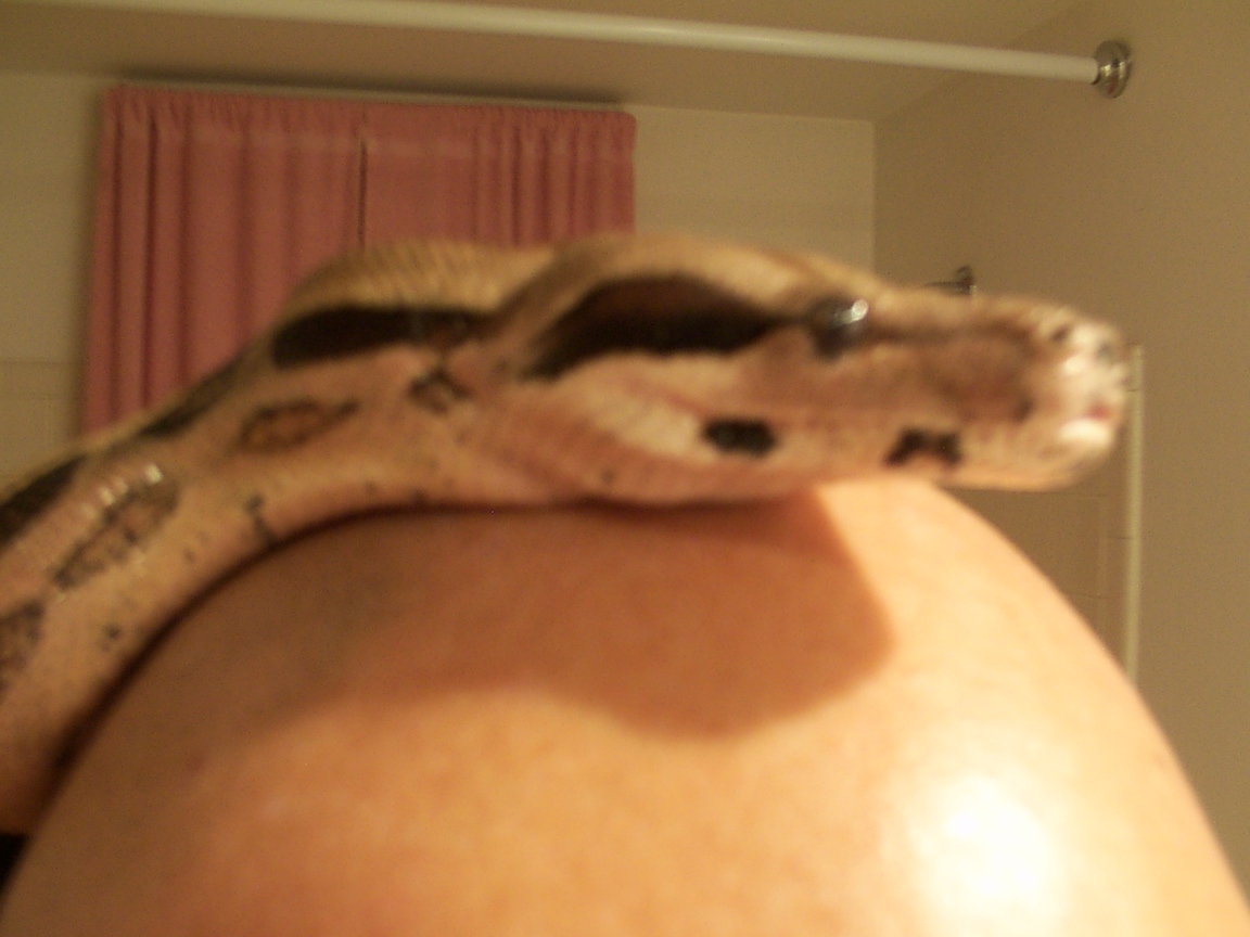 head shot