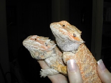 Jerome & Sassy