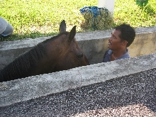 I told you I was stuck