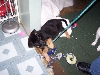 leash /camille