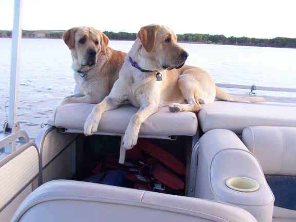 FishingLabs