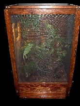 Veiled Chameleon Terrarium