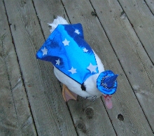 Wizard Spike