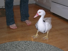 Spike with Diaper