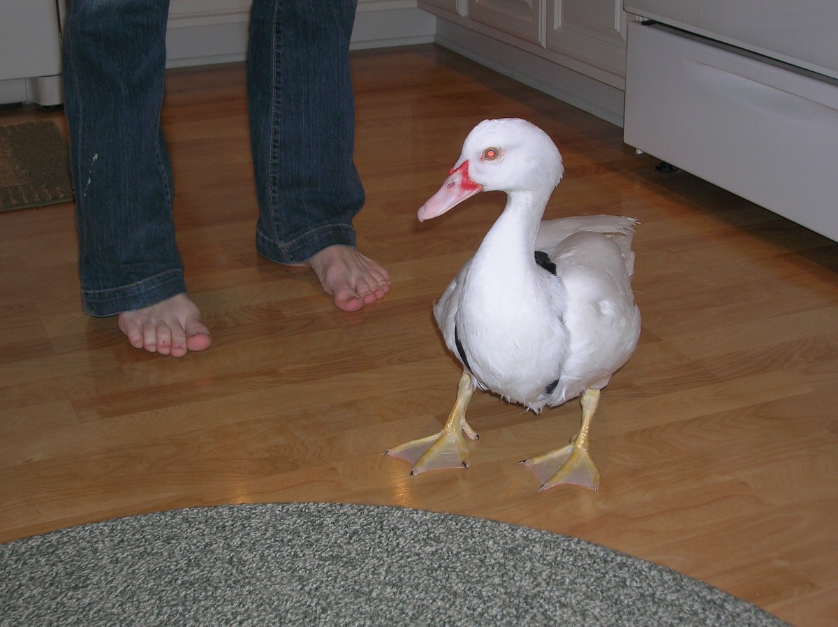 Spike with Diaper