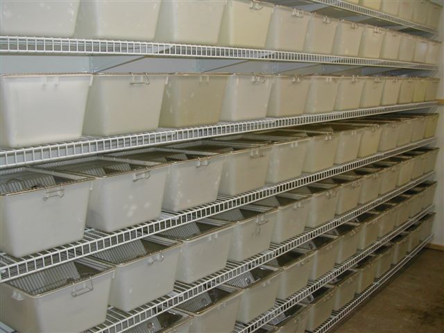 lab boxes