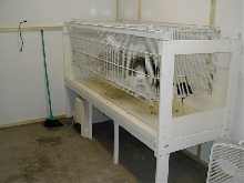 Rat Cage