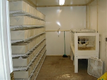 rat room