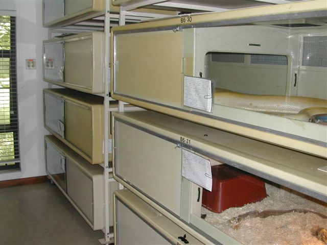 Eugenes Bessettes facility