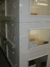 Eugenes Bessettes facility