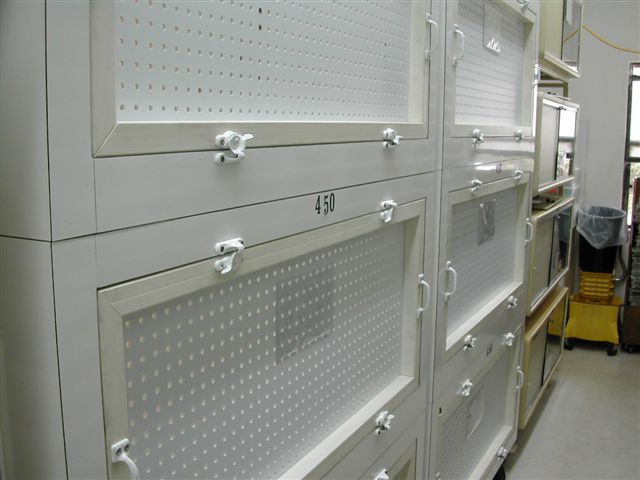 Eugenes Bessettes facility