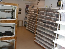 My Herp room