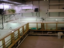 Tom Weidners facility