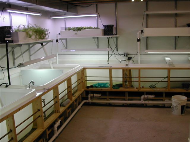 Tom Weidners facility