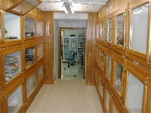 cages at Toms