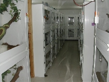 Tom Weidners place