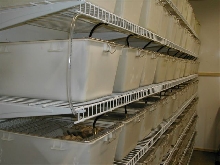 lab boxes