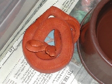 Amazon tree boa