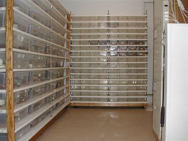 My Facility