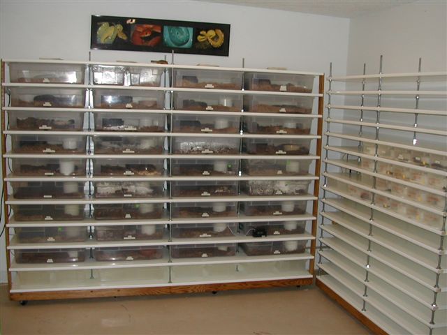 My facility