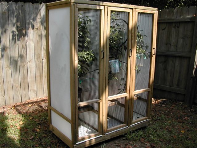 Cham cage