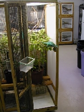 Cham cage