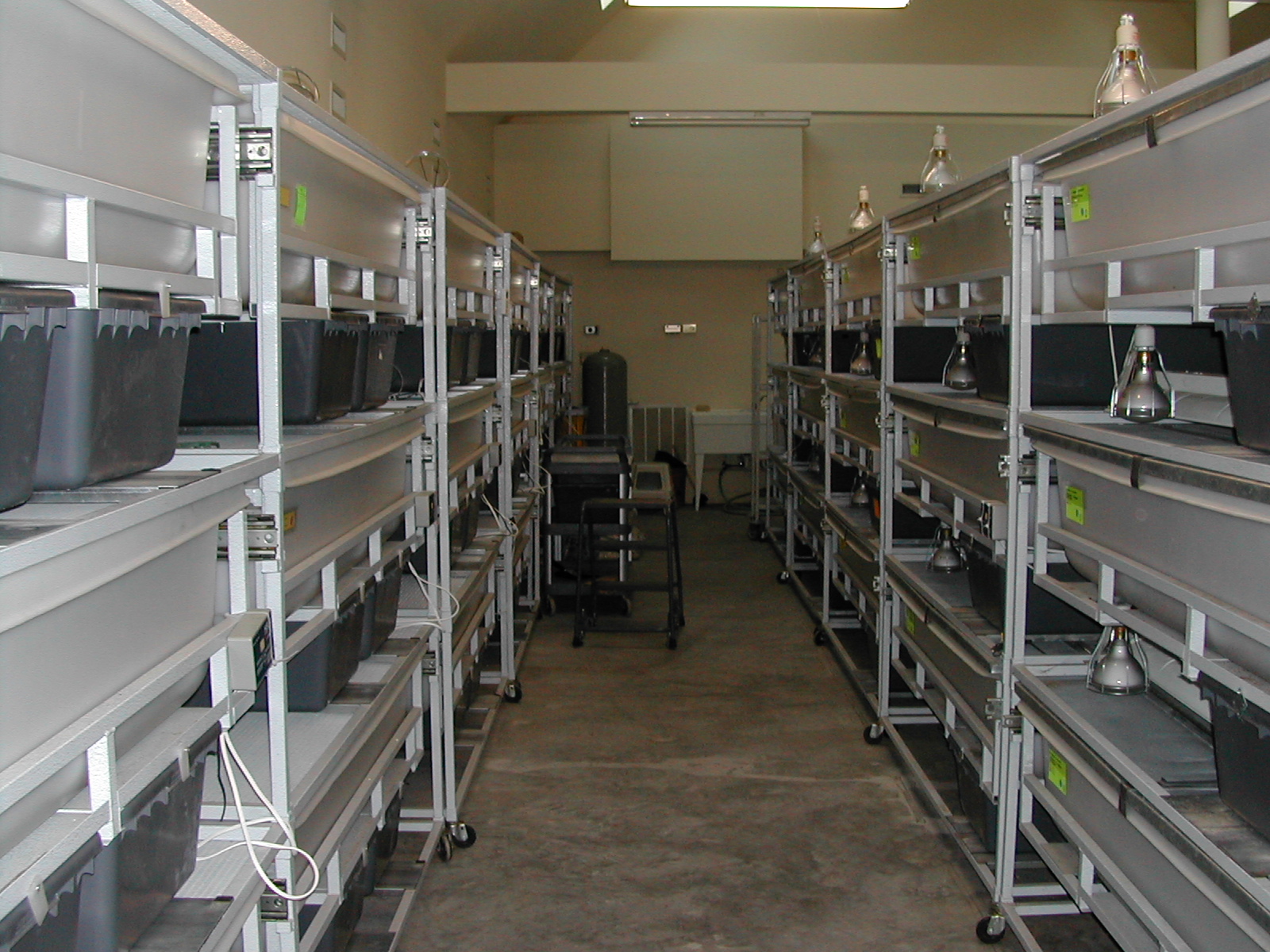 Joe Lewis facility