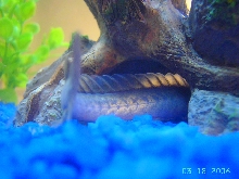 "They'll never find me in here, shhh"