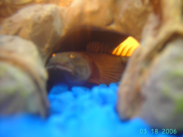 "I'm getting too old for this whole hide and seek game."