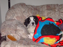 Our new family member...