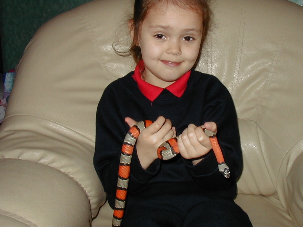 My Daughter with her female greybanded king