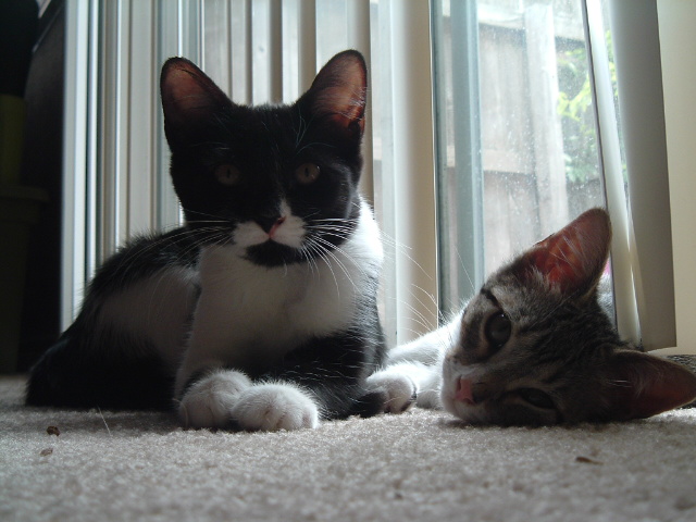 Hangin out