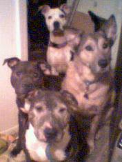 The crew