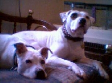 Dousha & Lily