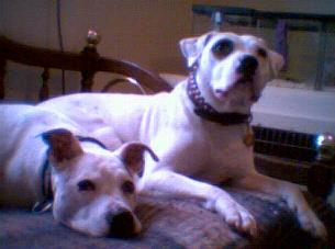 Dousha & Lily