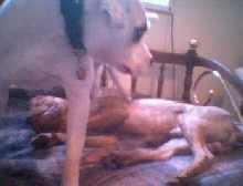 Lily & Brock