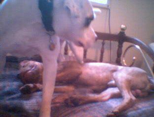 Lily & Brock