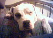 sleepy girl