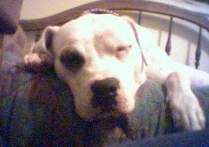 sleepy girl