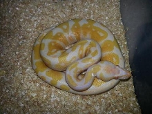 male 3 2014