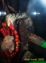 Grasya --- Star of Butaan: The Lost Dragon